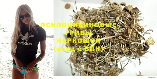 крисы Алексеевка