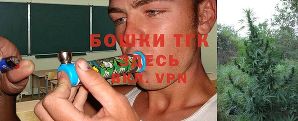 дурь Алзамай