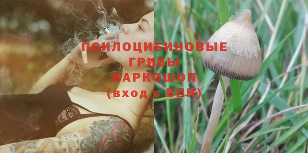 Альфа ПВП Алексин
