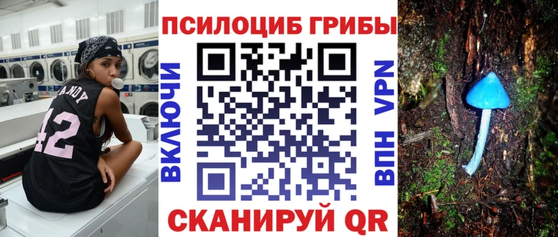 OMG   Гурьевск  Псилоцибиновые грибы мухоморы 