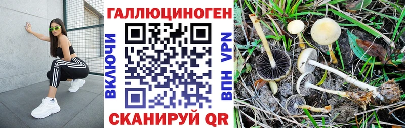 Галлюциногенные грибы MAGIC MUSHROOMS Гурьевск