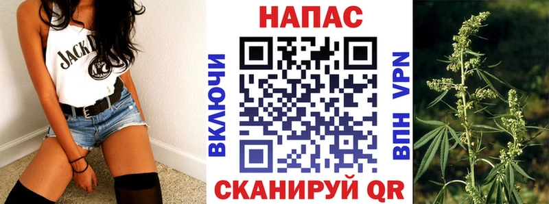 МАРИХУАНА планчик  Гурьевск 